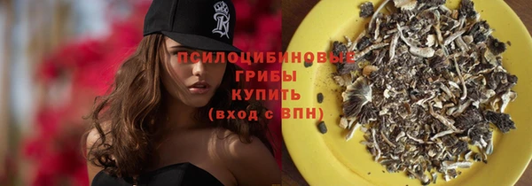 винт Баксан