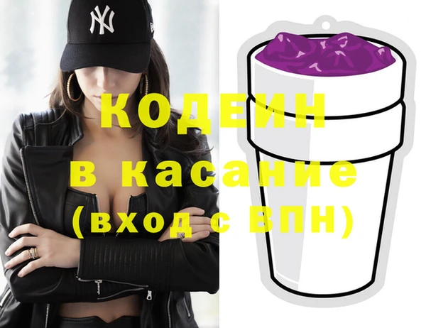 шишки Сатка