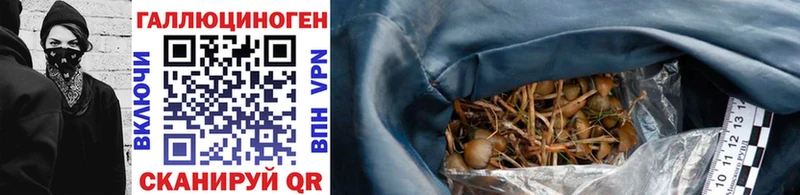 Псилоцибиновые грибы Psilocybe Сердобск