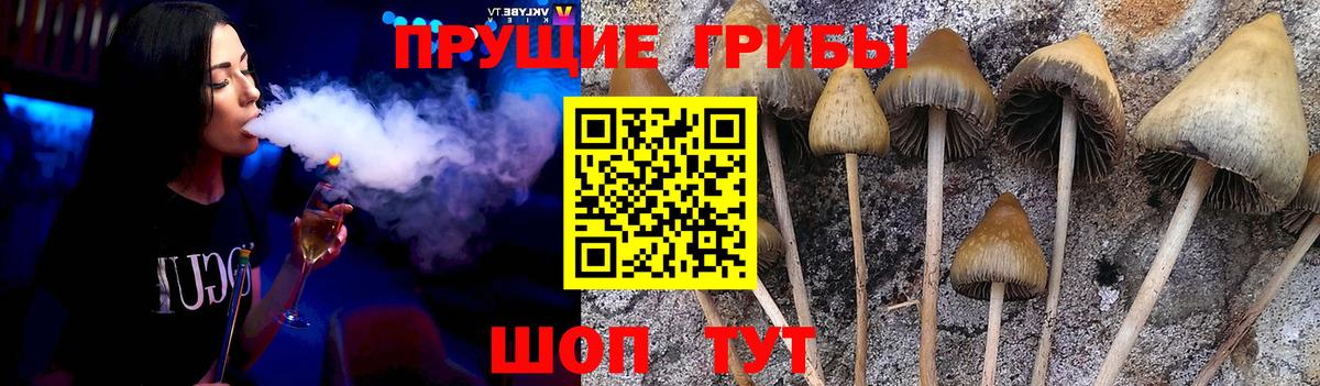 Галлюциногенные грибы прущие грибы Сердобск